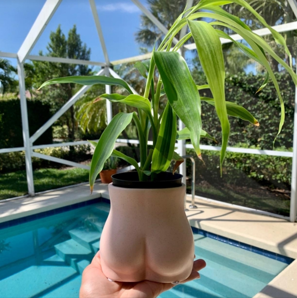 BOOTY VASE - Picture 13 of 15